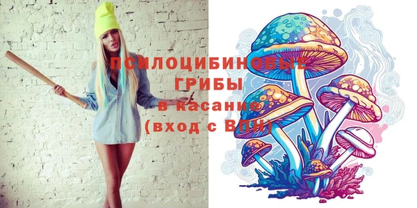 apvp Лихославль