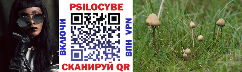 где продают наркотики  Бирск  кракен как войти  Псилоцибиновые грибы GOLDEN TEACHER 