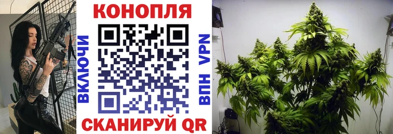 Марихуана план  Бирск 